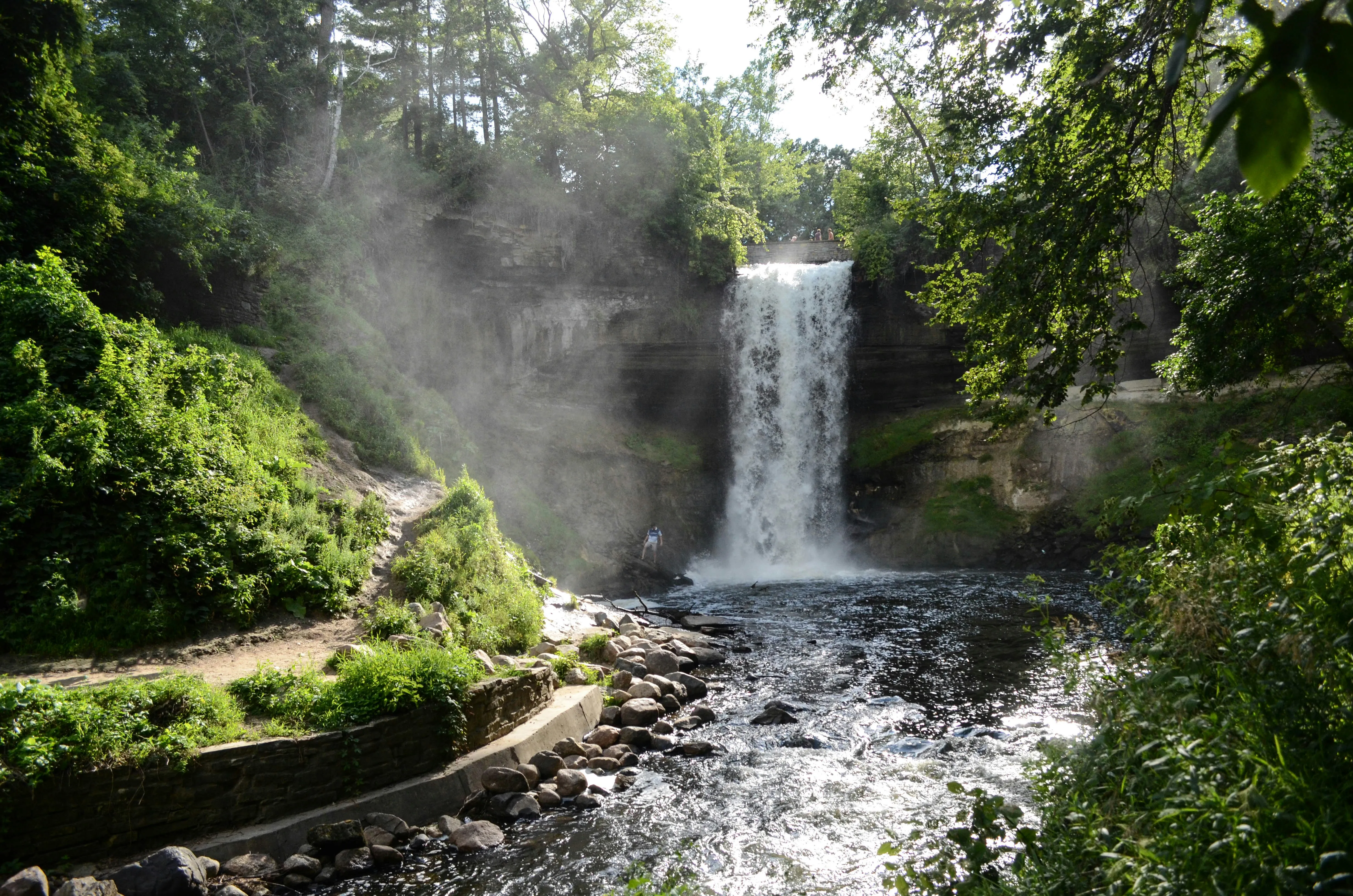 Lush forest and waterfall